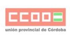 CCOO denuncia el incumplimiento del convenio por parte de la adjudicataria del servicio de monitores de comedor
