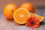 La campaña de la naranja se encuentra al 35% con una ... Imagen 1