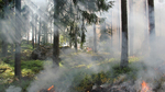 Asaja alerta del “grave riesgo” de incendio por la actual ... Imagen 1