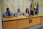 Diputación, Junta y Ayuntamiento impulsan una estrategia ... Imagen 1