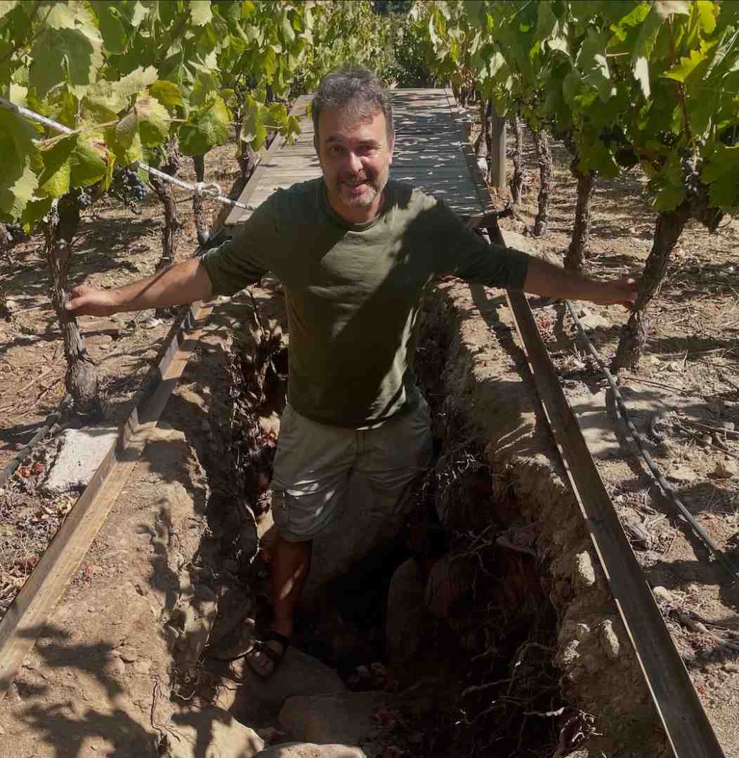 Andrew Neather en una zanja enmedio de viñas