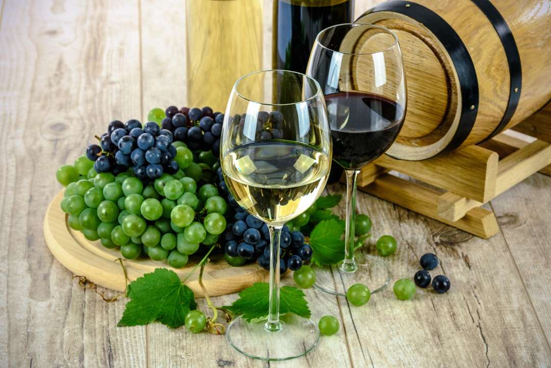 Dos nuevos másteres para liderar el futuro del vino y las bebidas