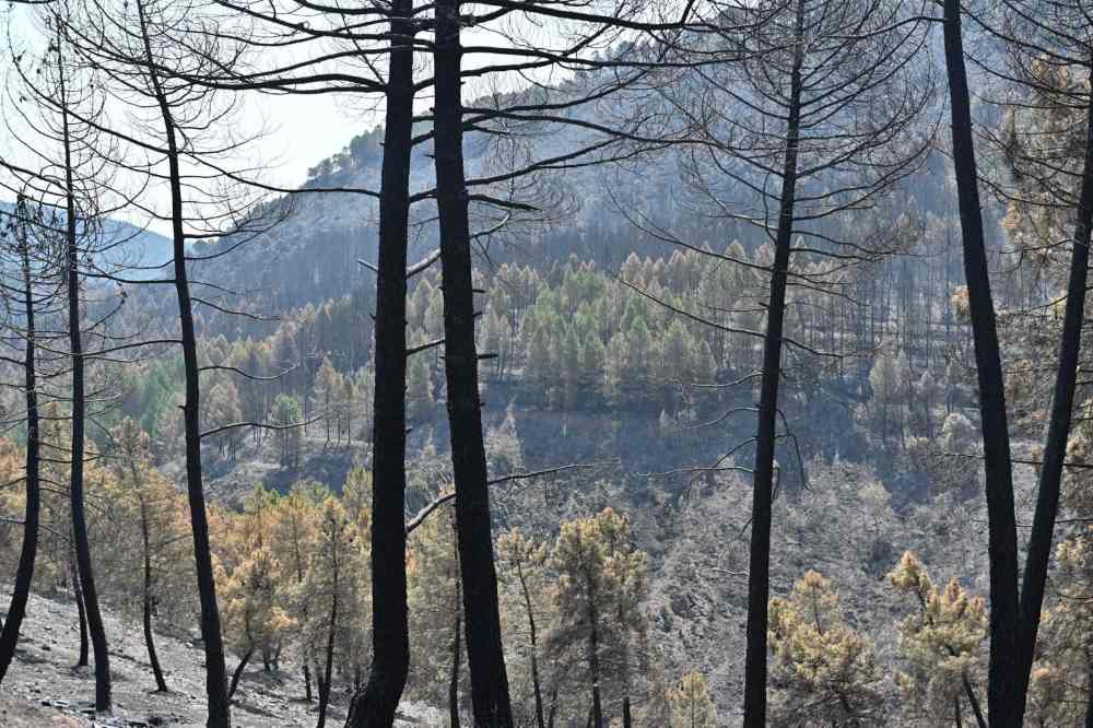 Incendio en Guadalajara