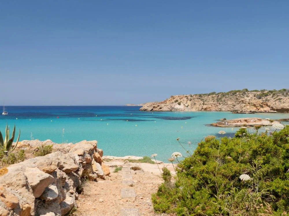 Playa de Ibiza. Coches de Lujo.