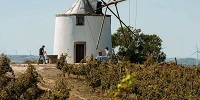 Vinos Regiao Lisboa