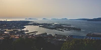 Vigo y la IA. Tecnología Industrial