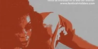 Festival Visibles