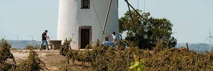 Vinos Regiao Lisboa