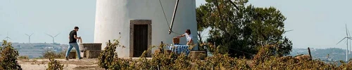 Vinos Regiao Lisboa