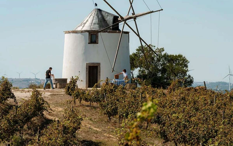 Vinos Regiao Lisboa